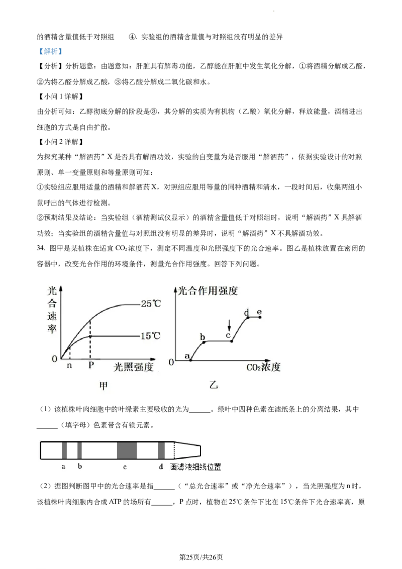 精品解析：新疆阿克苏市实验中学2023-2024学年高三上学期第三次月考生物试题（解析版）(1)_2023年11月_0211月合集_2024届新疆阿克苏市实验中学高三上学期第三次月考