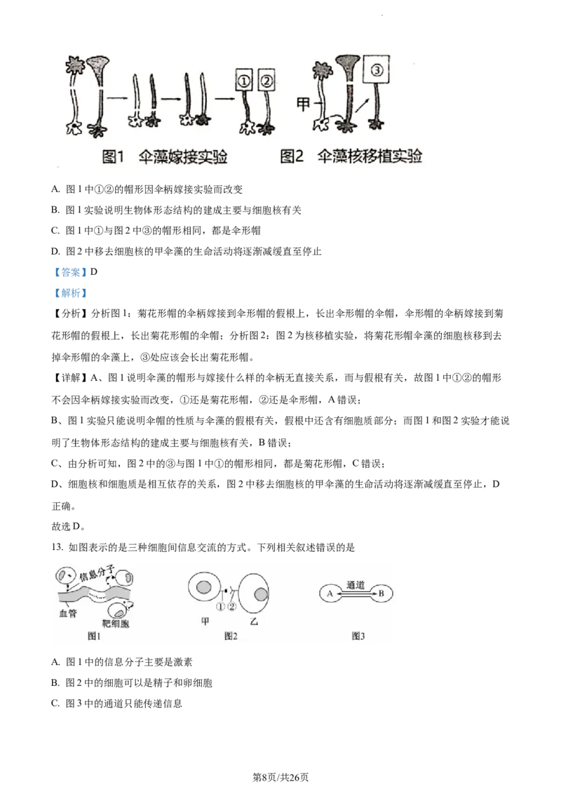 精品解析：新疆阿克苏市实验中学2023-2024学年高三上学期第三次月考生物试题（解析版）(1)_2023年11月_0211月合集_2024届新疆阿克苏市实验中学高三上学期第三次月考