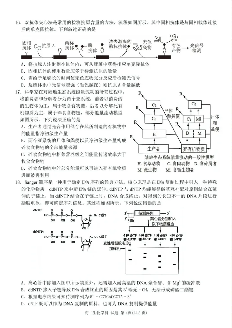 浙江省台金七校联盟2024-2025学年高二下学期期中联考生物试卷（扫描版有答案）_2024-2025高二（7-7月题库）_2025年6月试卷_0609浙江省台金七校联盟2024-2025学年高二下学期5月期中联考试题