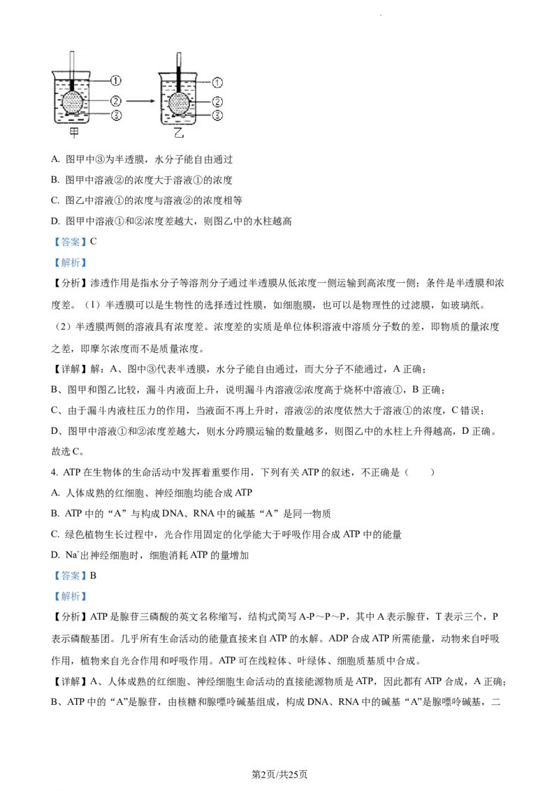 精品解析：新疆生产建设兵团第三师图木舒克市一中2023-2024学年高三11月月考生物试题（解析版）(1)_2023年11月_0211月合集