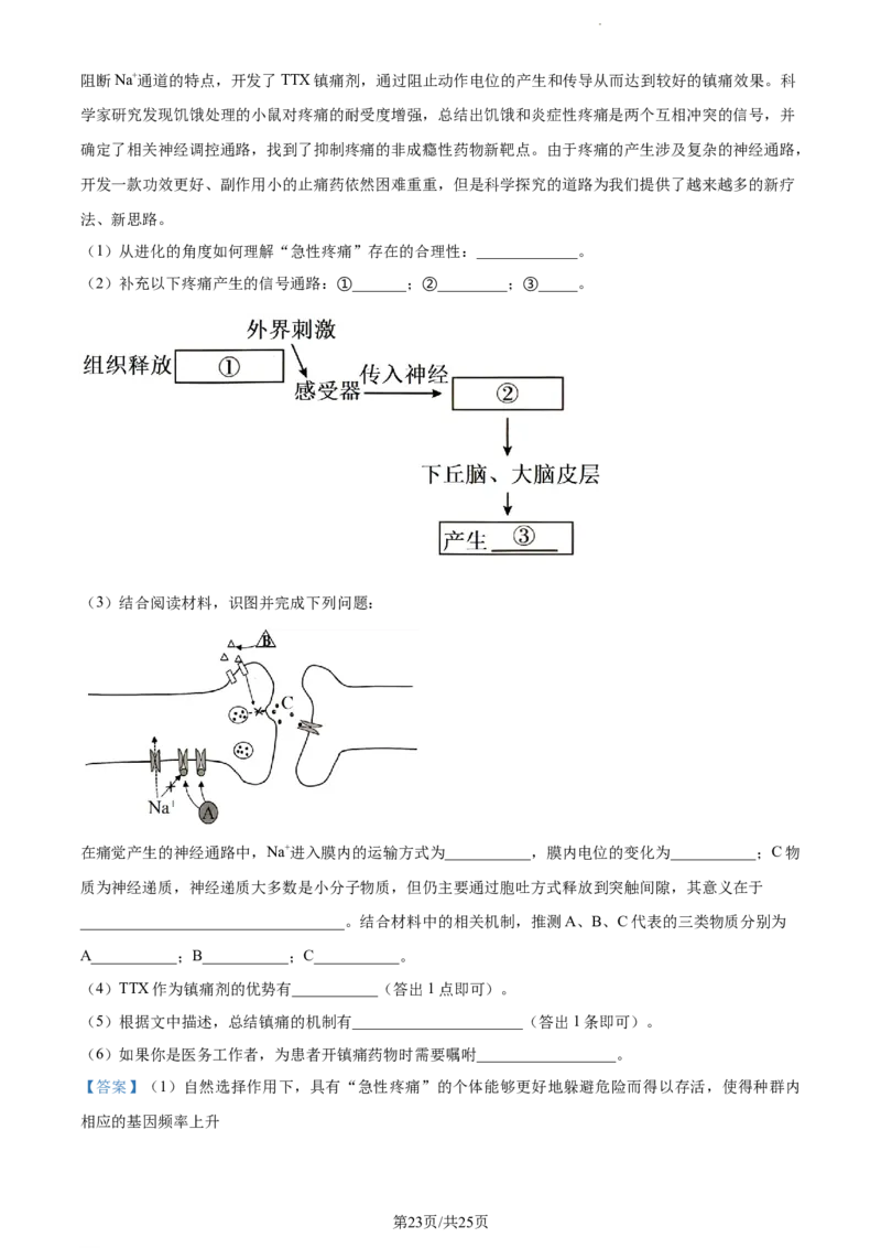 精品解析：新疆生产建设兵团第三师图木舒克市一中2023-2024学年高三11月月考生物试题（解析版）(1)_2023年11月_0211月合集
