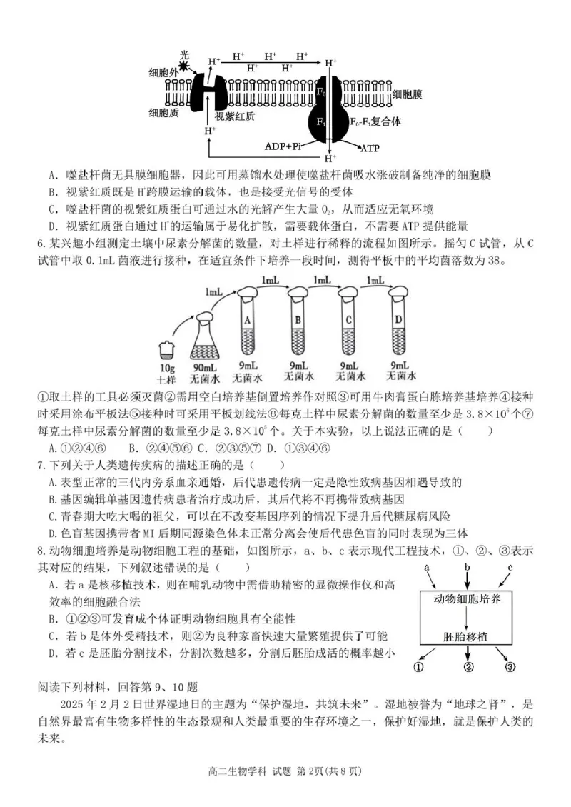 浙江省金华市卓越联盟2024-2025学年高二下学期5月阶段性联考生物学试卷（PDF版，含答案）_2024-2025高二（7-7月题库）_2025年6月试卷