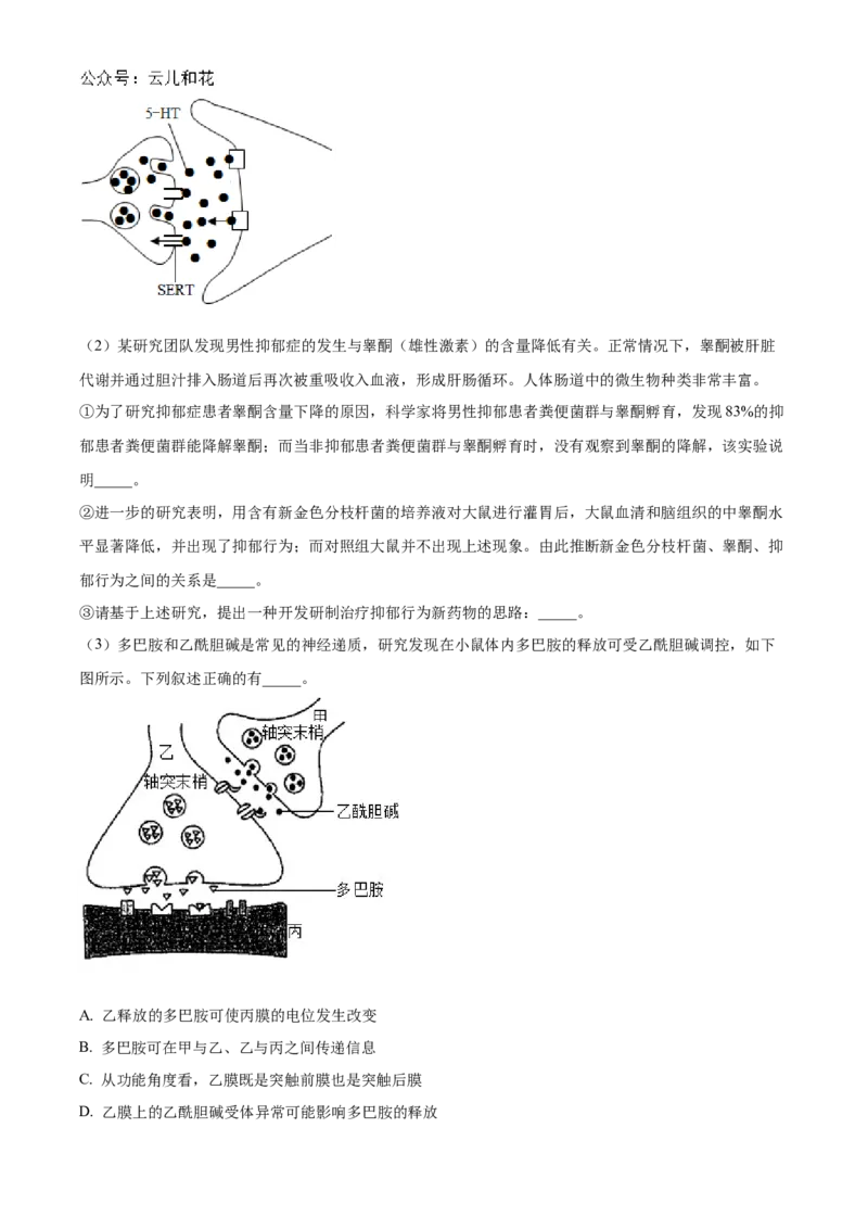 湖北省宜昌一中、荆州中学2024-205学年高二上学期10月联考生物试卷Word版无答案_2024-2025高二（7-7月题库）_2024年11月试卷
