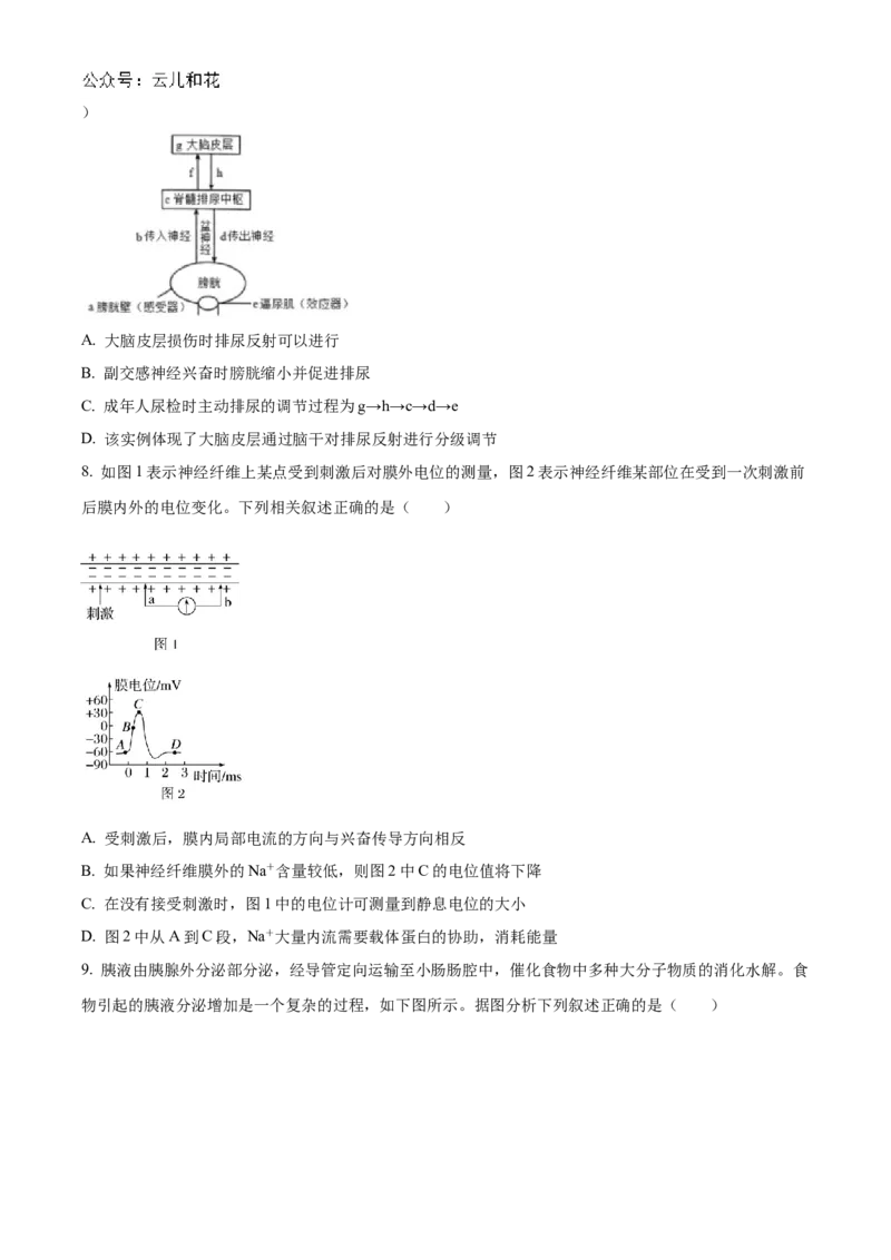 湖北省宜昌一中、荆州中学2024-205学年高二上学期10月联考生物试卷Word版无答案_2024-2025高二（7-7月题库）_2024年11月试卷