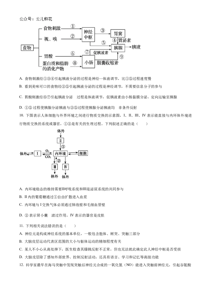 湖北省宜昌一中、荆州中学2024-205学年高二上学期10月联考生物试卷Word版无答案_2024-2025高二（7-7月题库）_2024年11月试卷