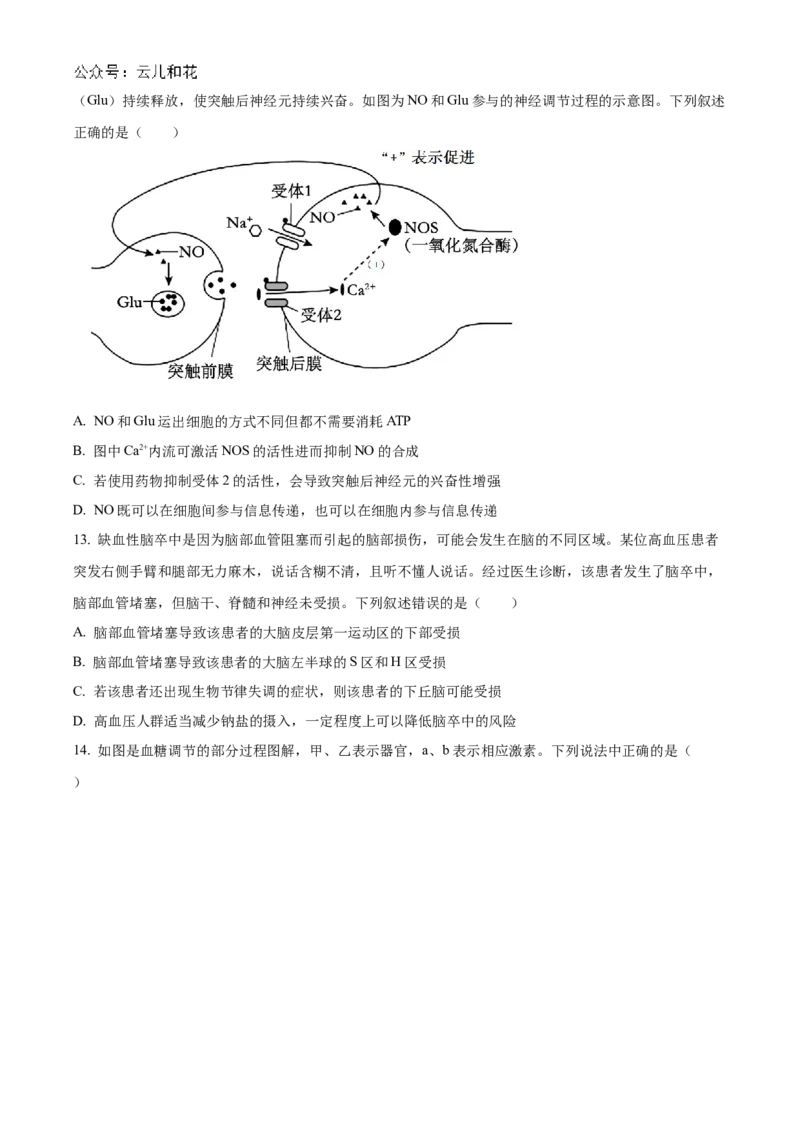湖北省宜昌一中、荆州中学2024-205学年高二上学期10月联考生物试卷Word版无答案_2024-2025高二（7-7月题库）_2024年11月试卷