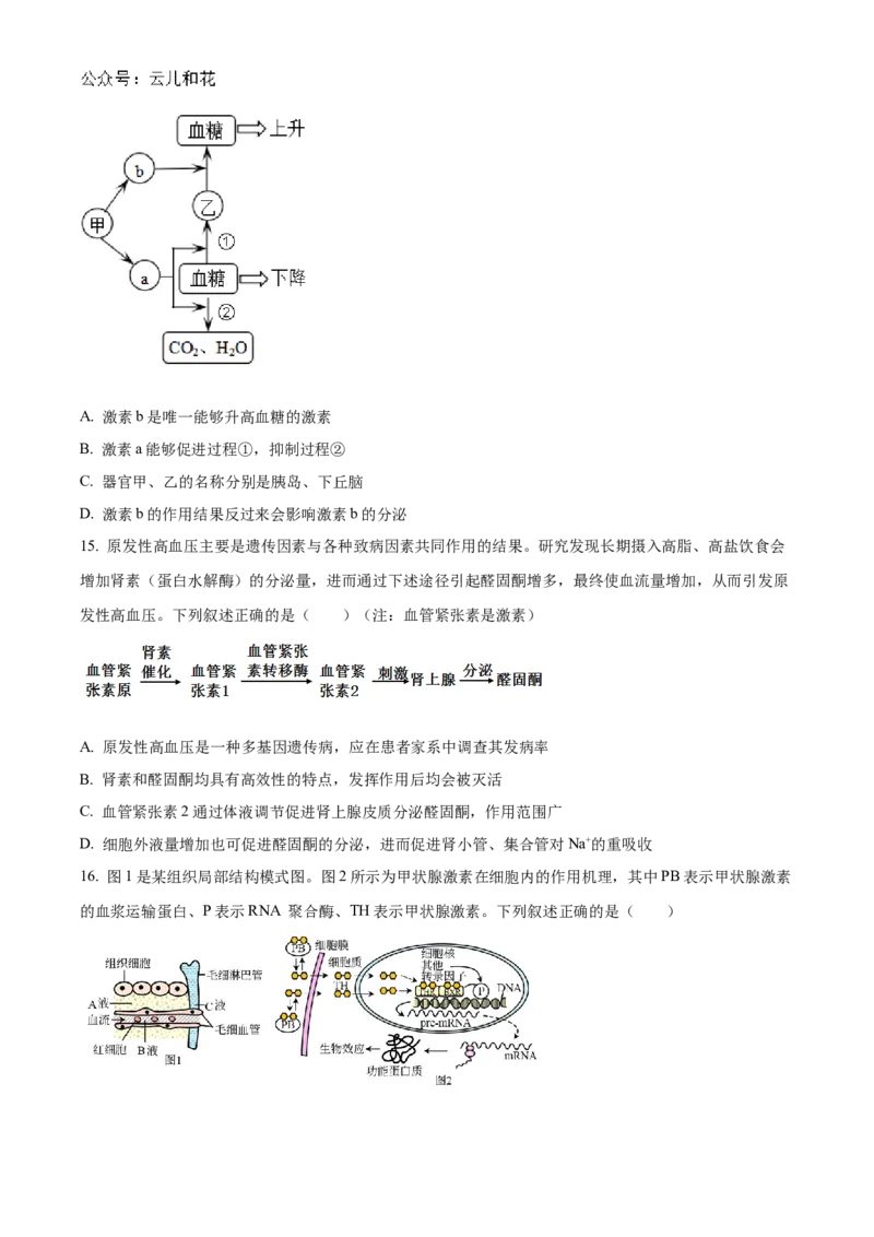湖北省宜昌一中、荆州中学2024-205学年高二上学期10月联考生物试卷Word版无答案_2024-2025高二（7-7月题库）_2024年11月试卷