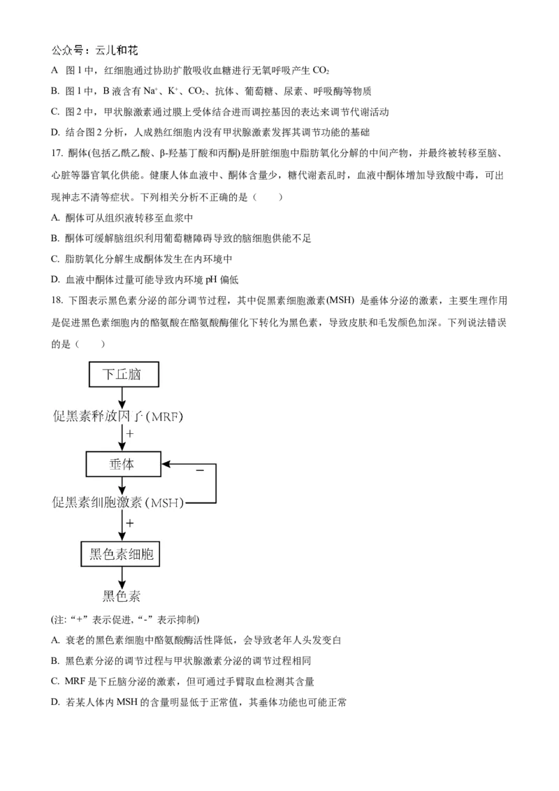 湖北省宜昌一中、荆州中学2024-205学年高二上学期10月联考生物试卷Word版无答案_2024-2025高二（7-7月题库）_2024年11月试卷