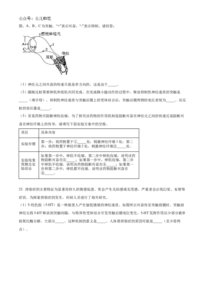 湖北省宜昌一中、荆州中学2024-205学年高二上学期10月联考生物试卷Word版无答案_2024-2025高二（7-7月题库）_2024年11月试卷