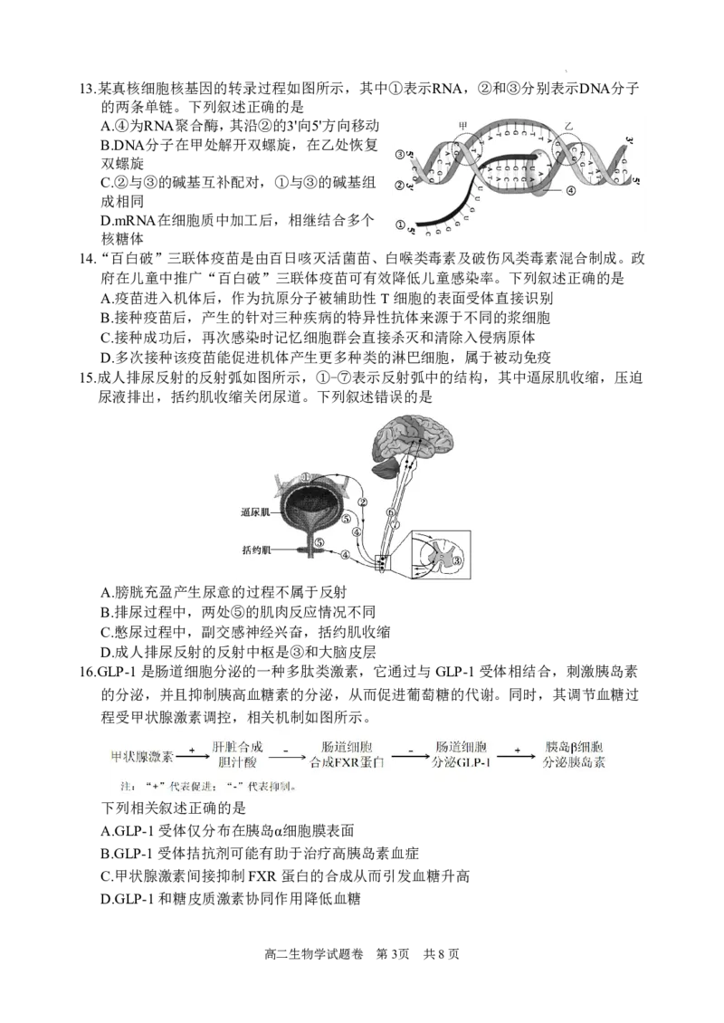 浙江省丽水市2023-2024学年高二下学期期末考试生物试题_2024-2025高二（7-7月题库）_2024年07月试卷_0702浙江省丽水市2023-2024学年高二下学期6月期末考试