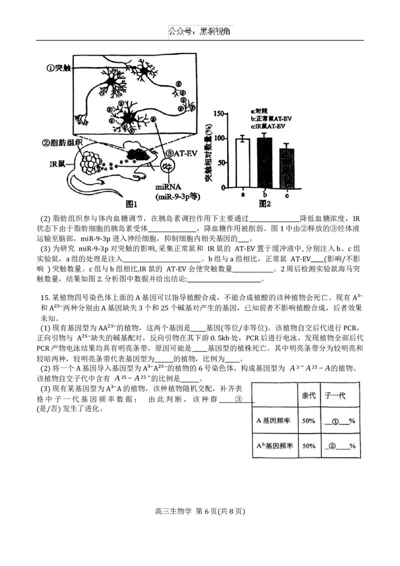 天津市第二十五中学2024-2025学年高三上学期12月月考生物试题_2024-2025高三（6-6月题库）_2024年12月试卷_1223天津市第二十五中学2024-2025学年高三上学期第二次月考（12月）试题