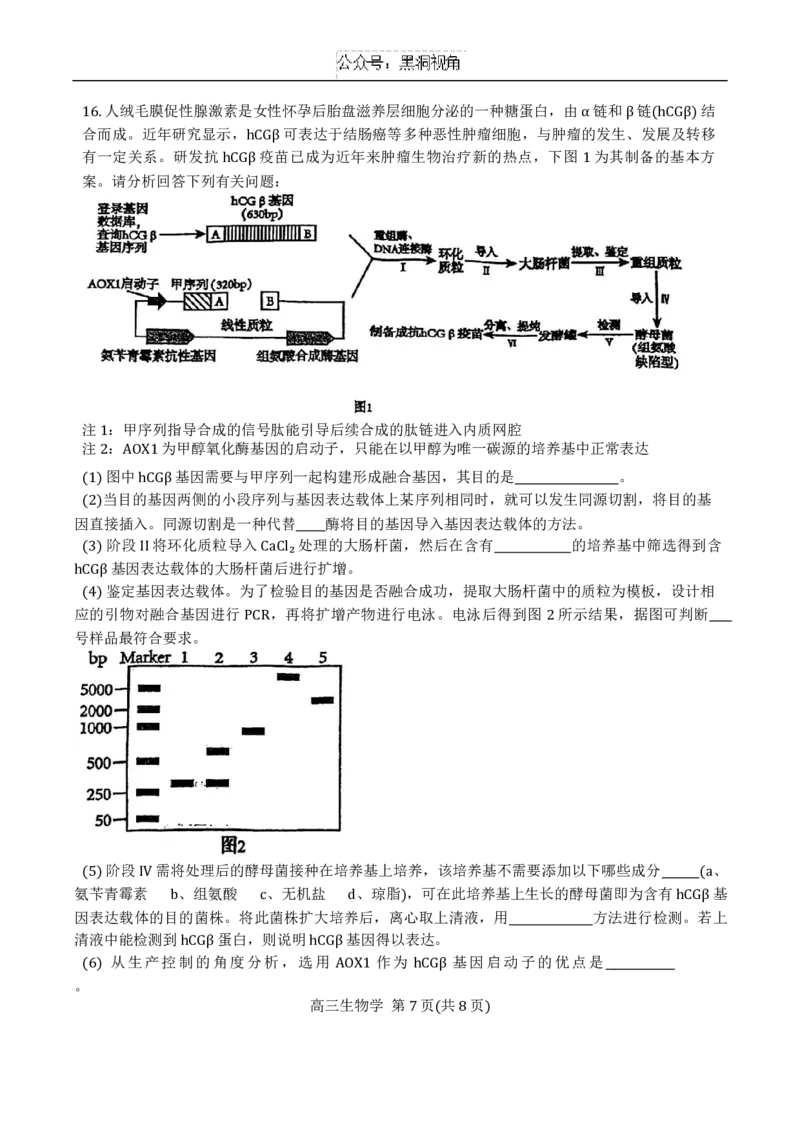 天津市第二十五中学2024-2025学年高三上学期12月月考生物试题_2024-2025高三（6-6月题库）_2024年12月试卷_1223天津市第二十五中学2024-2025学年高三上学期第二次月考（12月）试题