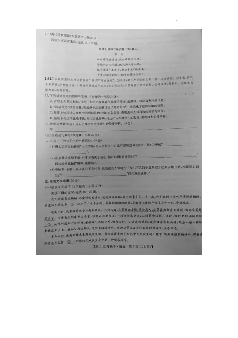 河南省洛阳市强基联盟2024-2025学年高二上学期12月月考语文试题_2024-2025高二（7-7月题库）_2024年12月试卷_1229河南省洛阳市强基联盟2024-2025学年高二上学期12月月考