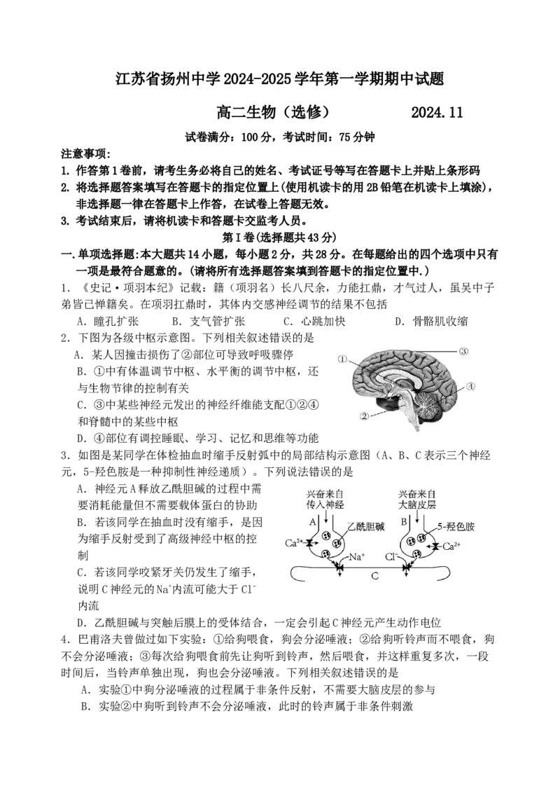 江苏省扬州中学2024-2025学年高二上学期11月期中考试生物（含答案）_2024-2025高二（7-7月题库）_2024年11月试卷_1123江苏省扬州市扬州中学2024-2025学年高二上学期11月期中考试