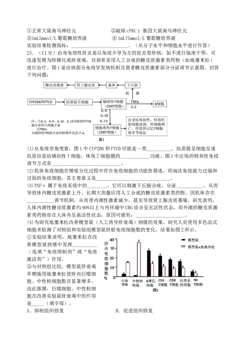 江苏省扬州中学2024-2025学年高二上学期11月期中考试生物（含答案）_2024-2025高二（7-7月题库）_2024年11月试卷_1123江苏省扬州市扬州中学2024-2025学年高二上学期11月期中考试
