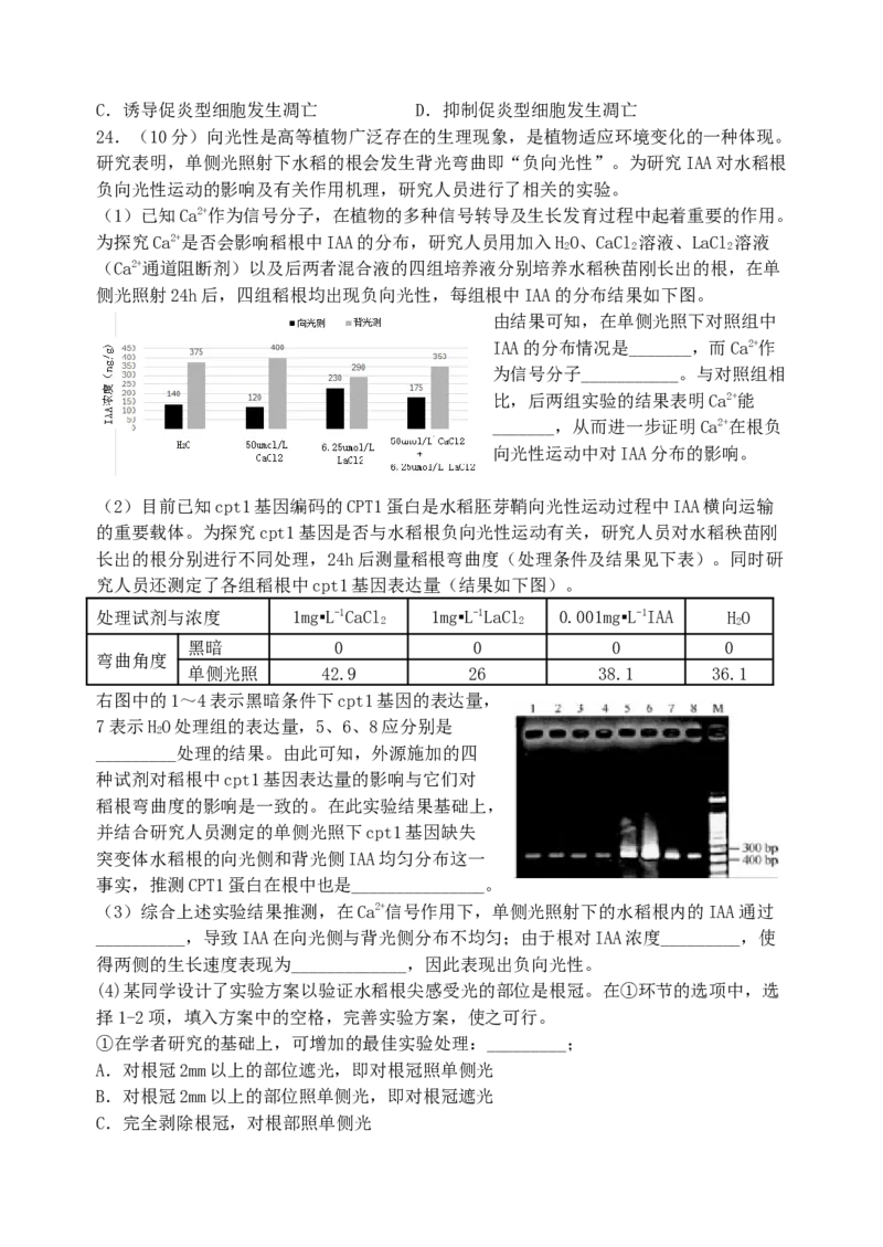 江苏省扬州中学2024-2025学年高二上学期11月期中考试生物（含答案）_2024-2025高二（7-7月题库）_2024年11月试卷_1123江苏省扬州市扬州中学2024-2025学年高二上学期11月期中考试