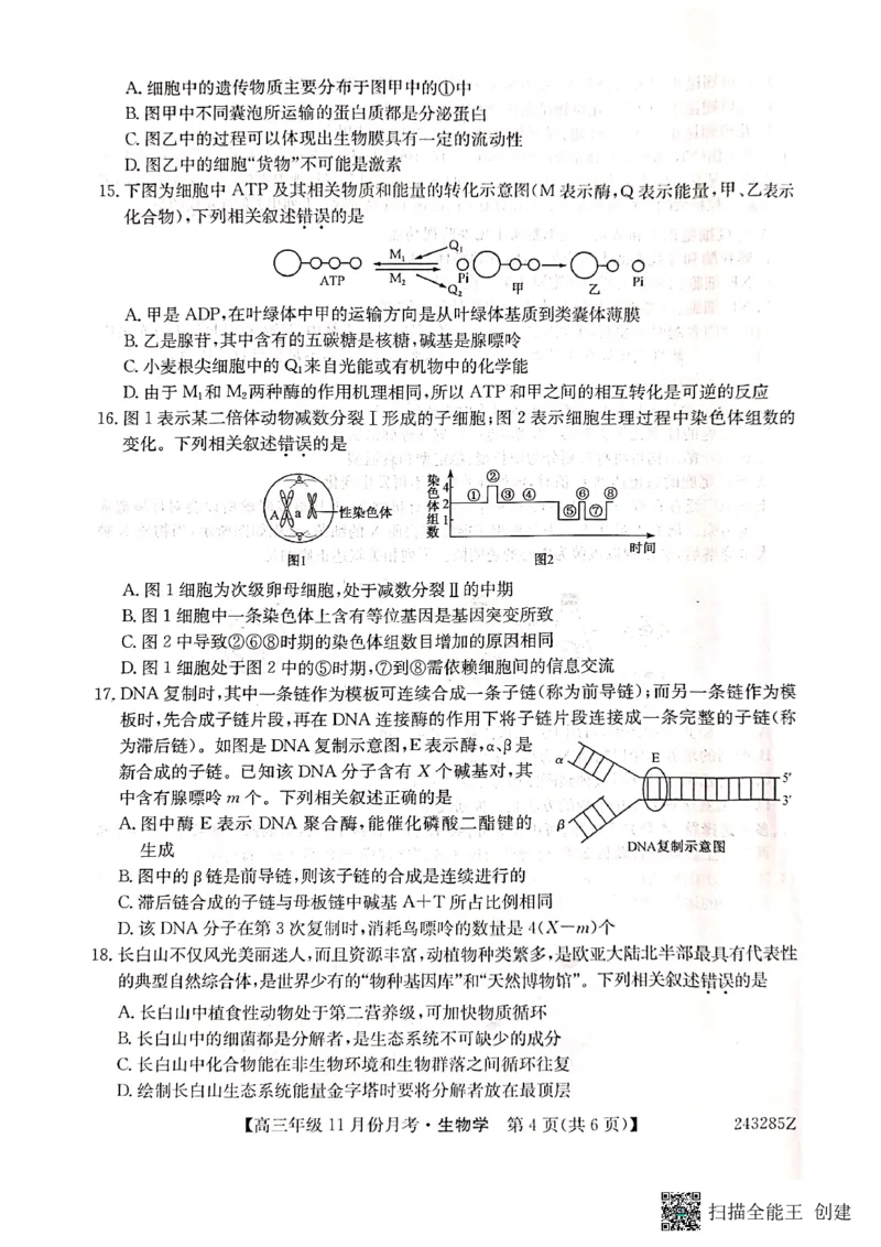 河北省沧州市东光县等三县联考2023-2024学年高三上学期11月月考生物(1)_2023年11月_0211月合集_2024届河北省沧州市东光县等三县联考高三上学期11月月考