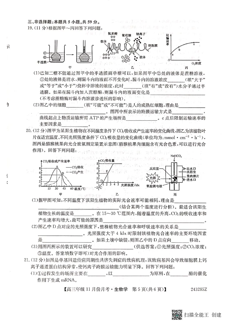 河北省沧州市东光县等三县联考2023-2024学年高三上学期11月月考生物(1)_2023年11月_0211月合集_2024届河北省沧州市东光县等三县联考高三上学期11月月考