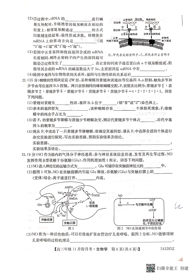 河北省沧州市东光县等三县联考2023-2024学年高三上学期11月月考生物(1)_2023年11月_0211月合集_2024届河北省沧州市东光县等三县联考高三上学期11月月考