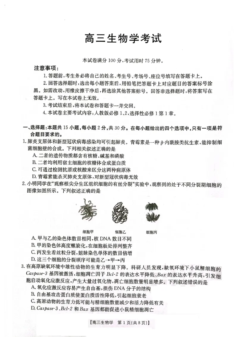 高三生物(1)_2023年11月_0211月合集_2024届辽宁省高三11月金太阳联考（24-132C）_辽宁省2024届高三11月金太阳联考（24-132C）生物