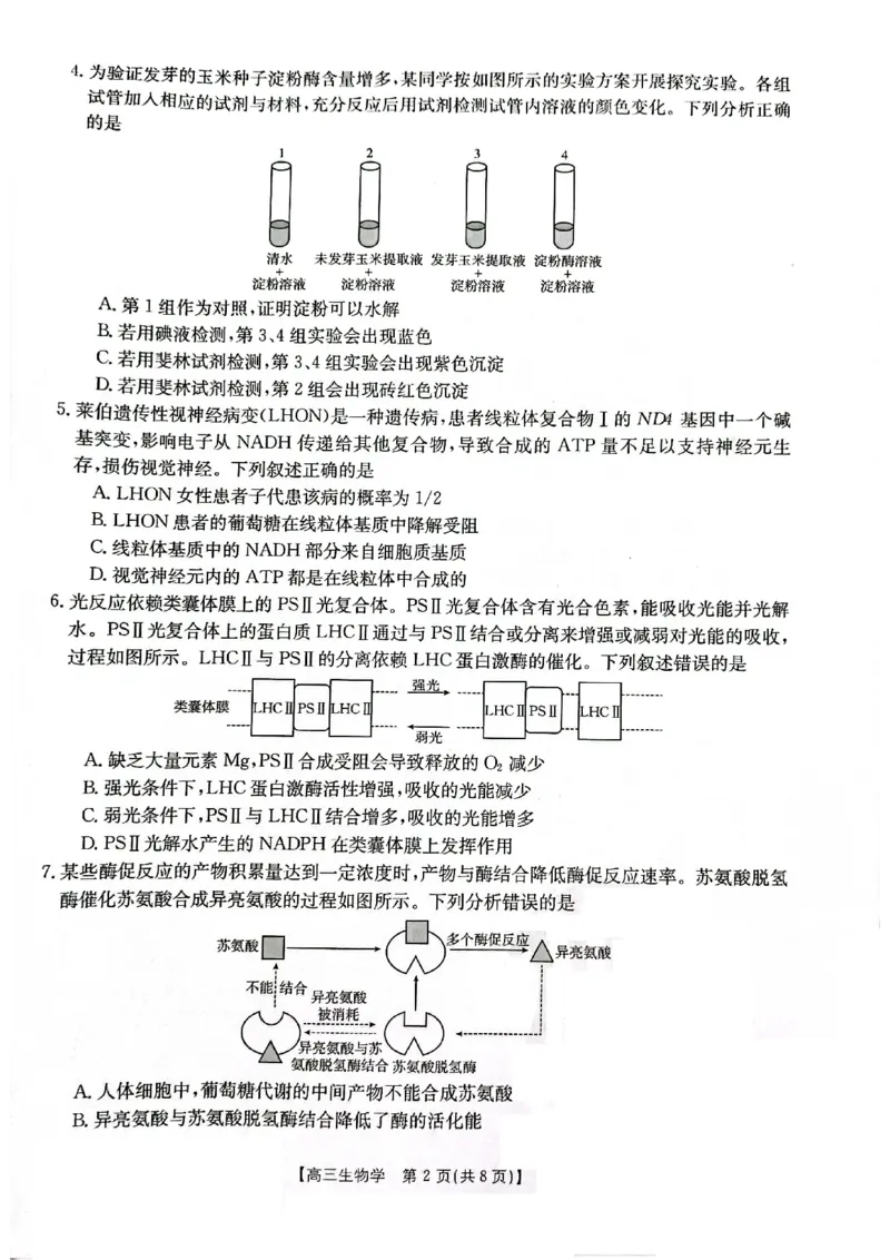 高三生物(1)_2023年11月_0211月合集_2024届辽宁省高三11月金太阳联考（24-132C）_辽宁省2024届高三11月金太阳联考（24-132C）生物
