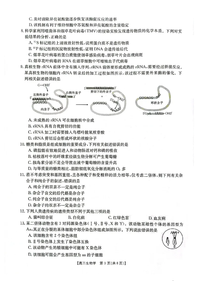 高三生物(1)_2023年11月_0211月合集_2024届辽宁省高三11月金太阳联考（24-132C）_辽宁省2024届高三11月金太阳联考（24-132C）生物