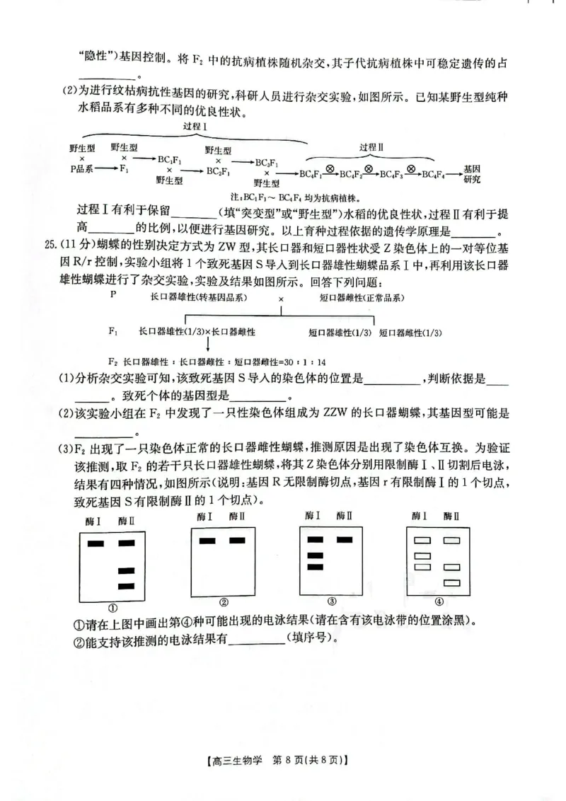 高三生物(1)_2023年11月_0211月合集_2024届辽宁省高三11月金太阳联考（24-132C）_辽宁省2024届高三11月金太阳联考（24-132C）生物