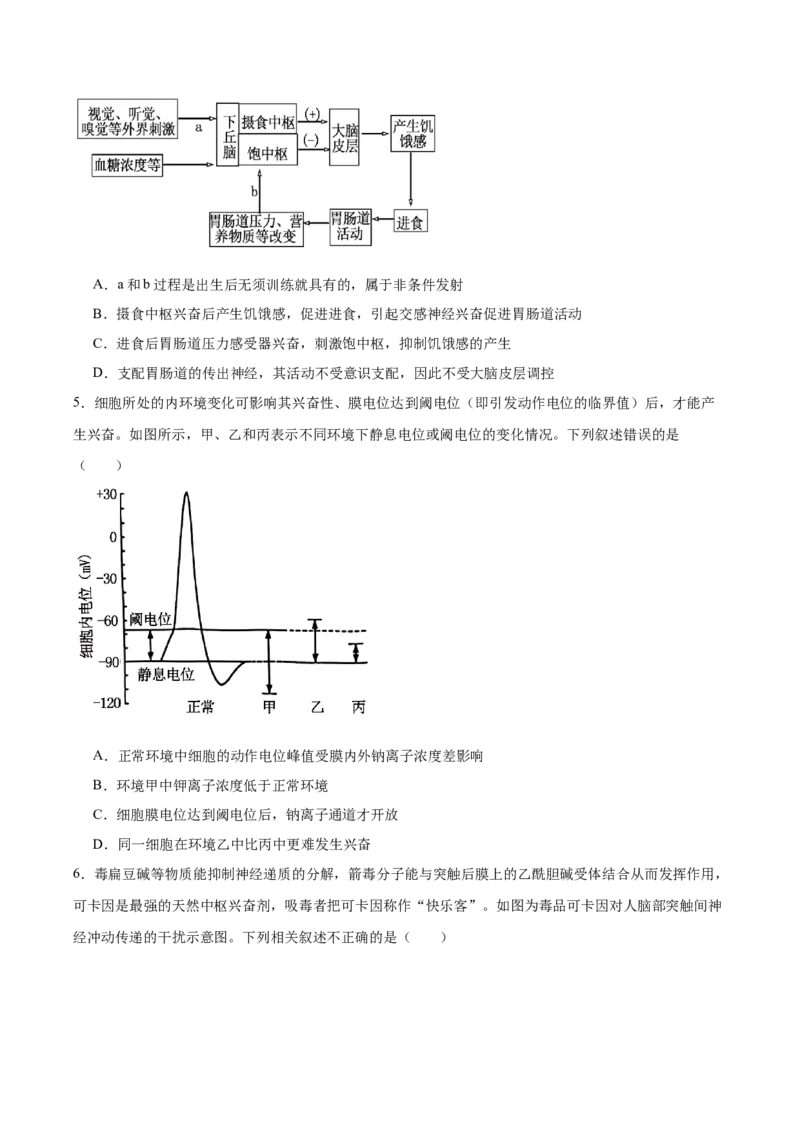 河北省保定市六校联盟2025-2026学年高二上学期期中联考试题生物Word版含答案_2024-2025高二（7-7月题库）_2026年1月高二