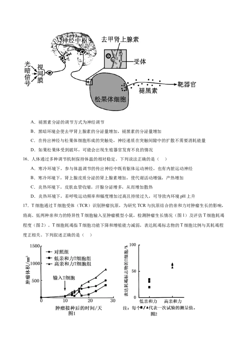 河北省保定市六校联盟2025-2026学年高二上学期期中联考试题生物Word版含答案_2024-2025高二（7-7月题库）_2026年1月高二