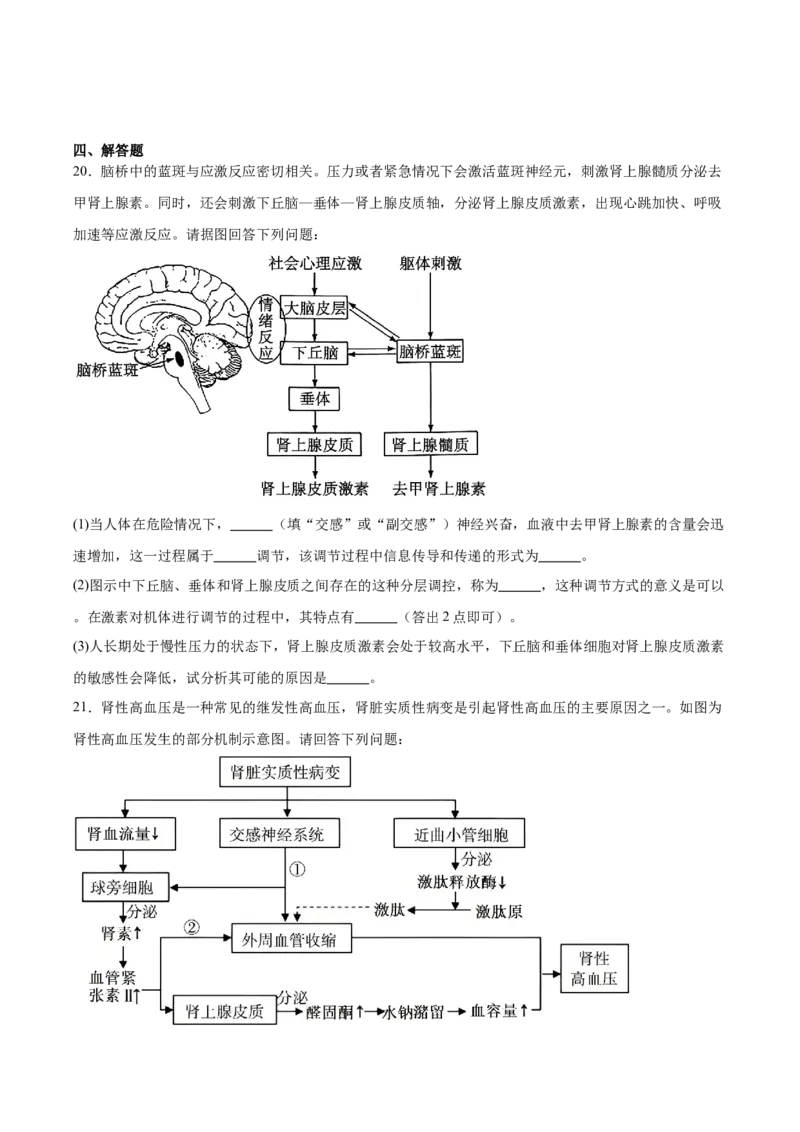 河北省保定市六校联盟2025-2026学年高二上学期期中联考试题生物Word版含答案_2024-2025高二（7-7月题库）_2026年1月高二