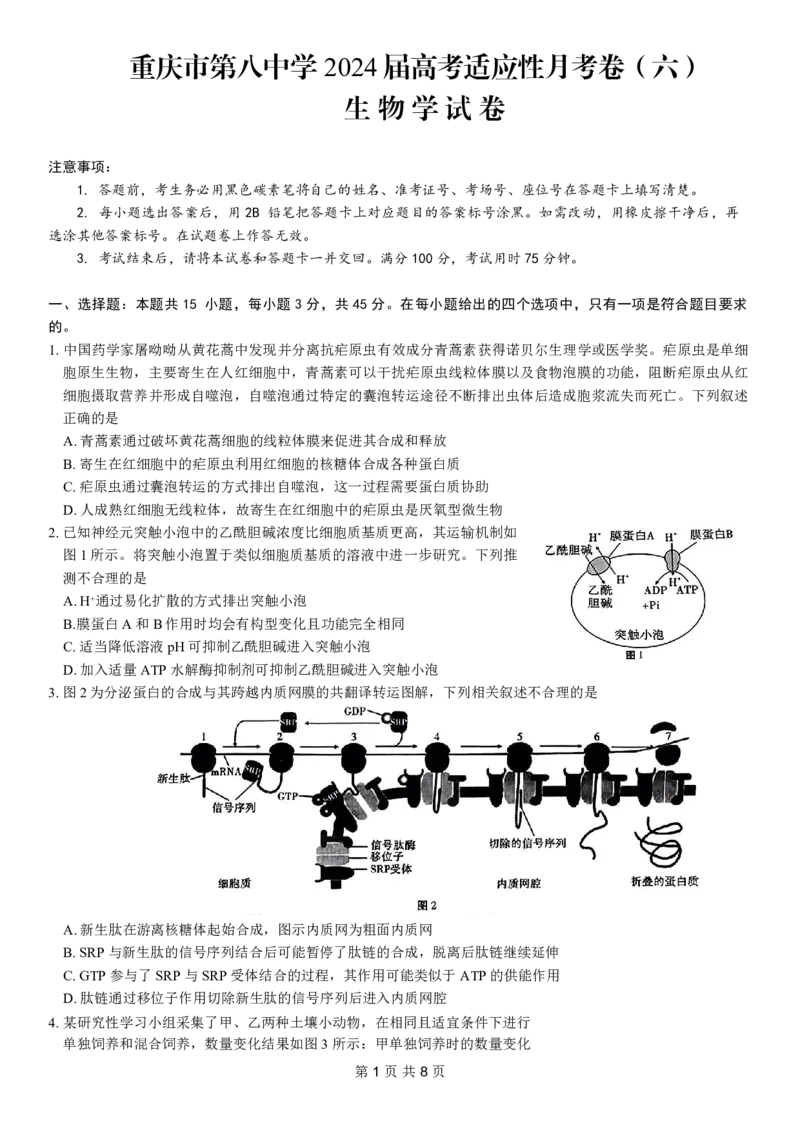 重庆市第八中学2024届高考适应性月考卷（六）生物试题_2024年3月_013月合集_2024届重庆市第八中学高考适应性月考卷（六）_重庆市第八中学2024届高考适应性月考卷（六）生物
