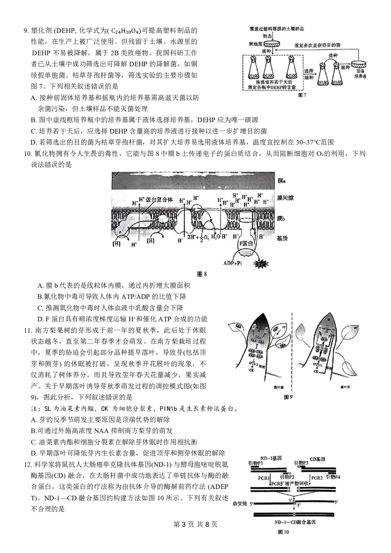 重庆市第八中学2024届高考适应性月考卷（六）生物试题_2024年3月_013月合集_2024届重庆市第八中学高考适应性月考卷（六）_重庆市第八中学2024届高考适应性月考卷（六）生物