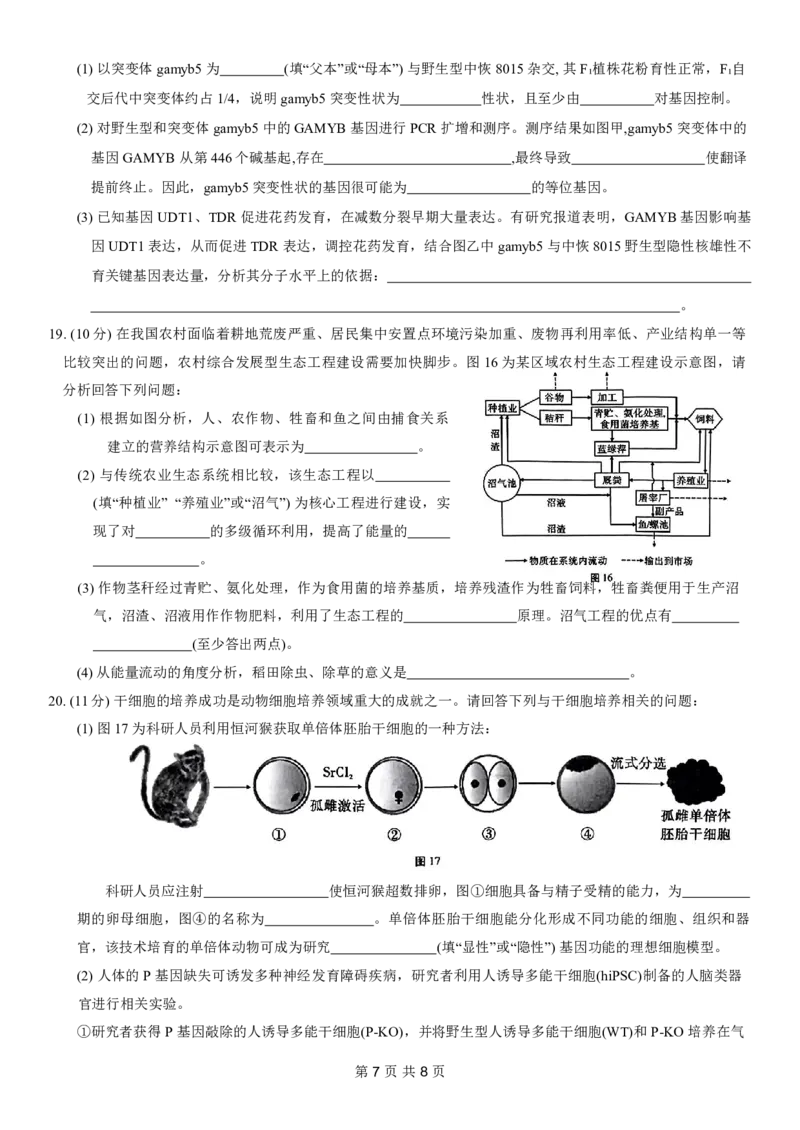 重庆市第八中学2024届高考适应性月考卷（六）生物试题_2024年3月_013月合集_2024届重庆市第八中学高考适应性月考卷（六）_重庆市第八中学2024届高考适应性月考卷（六）生物
