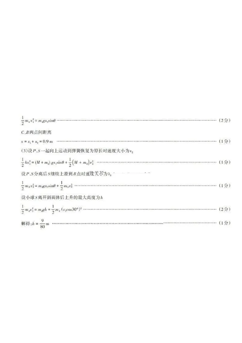 山西省启航卷2025届高考考前适应性测试-物理试题+答案_2024-2025高三（6-6月题库）_2025年02月试卷_0222山西省启航卷2025届高考考前适应性测试（2.19-2.20）（含日语）