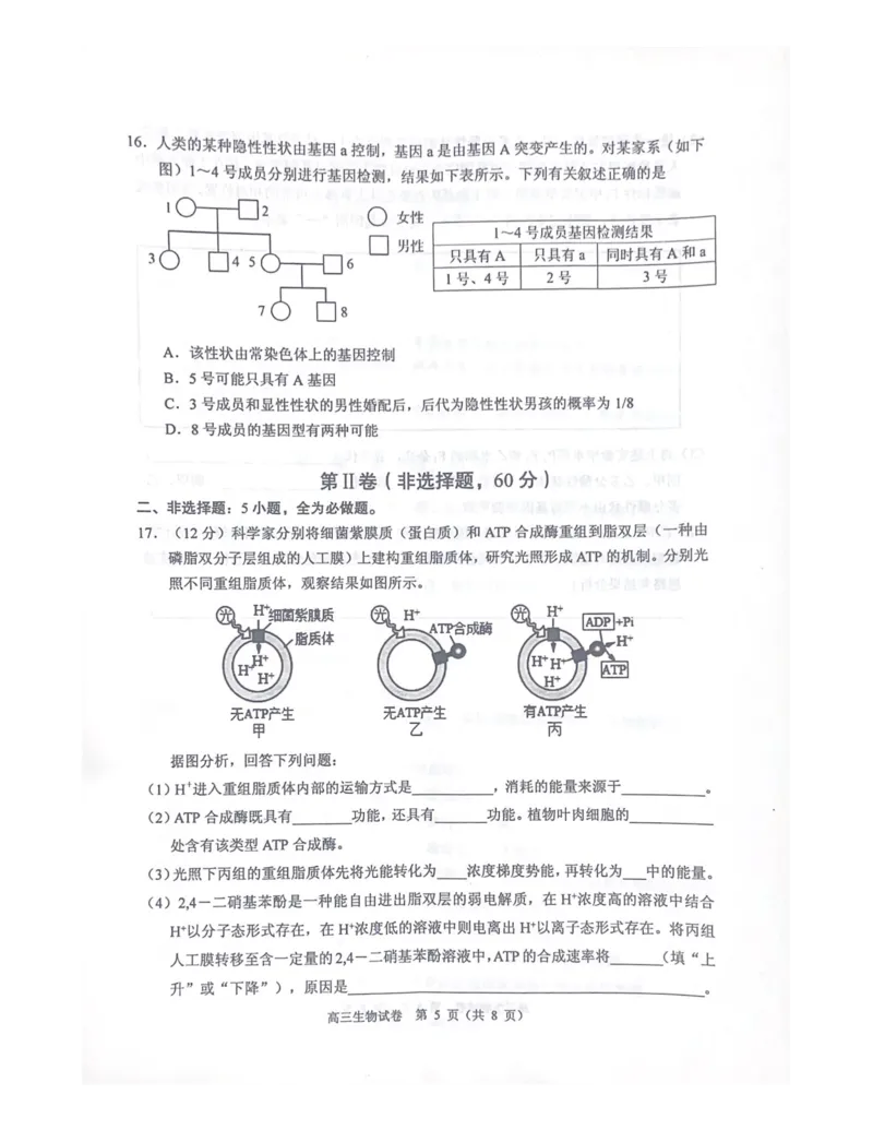 广东省顺德区2024届高三上学期教学质量检测（一）生物(1)_2023年11月_01每日更新_06号_2024届广东省顺德区高三上学期教学质量检测（一）