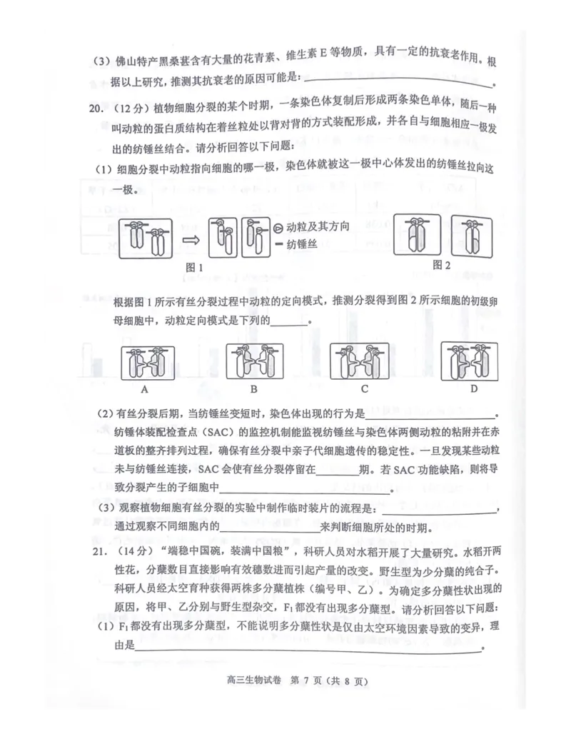 广东省顺德区2024届高三上学期教学质量检测（一）生物(1)_2023年11月_01每日更新_06号_2024届广东省顺德区高三上学期教学质量检测（一）