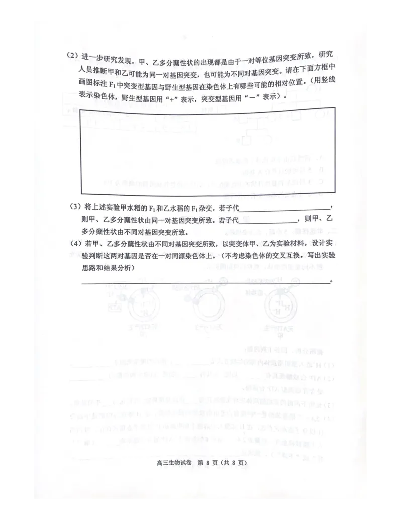 广东省顺德区2024届高三上学期教学质量检测（一）生物(1)_2023年11月_01每日更新_06号_2024届广东省顺德区高三上学期教学质量检测（一）