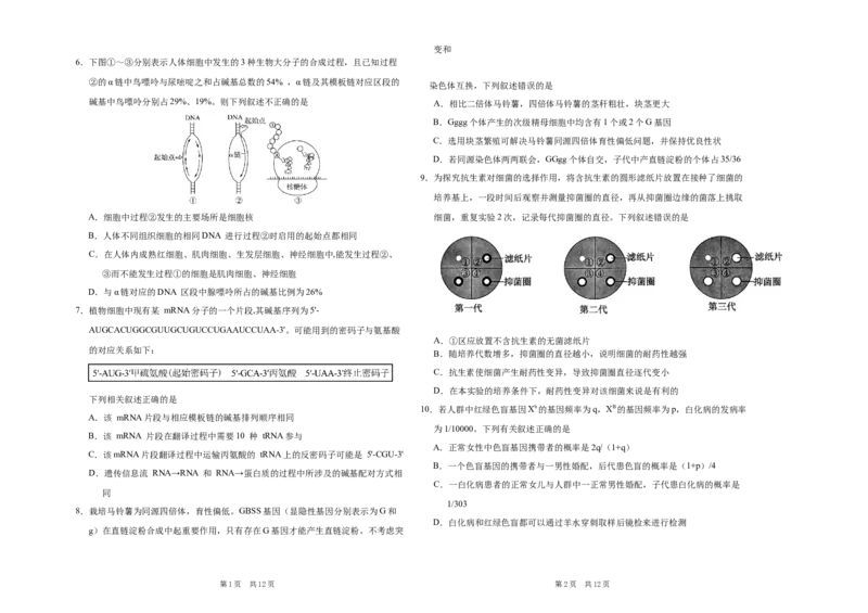 吉林省长春市朝阳区长春外国语学校2024-2025学年高二上学期开学生物试题_2024-2025高二（7-7月题库）_2024年08月试卷_0831吉林省长春外国语学校2024-2025学年高二上学期开学考试