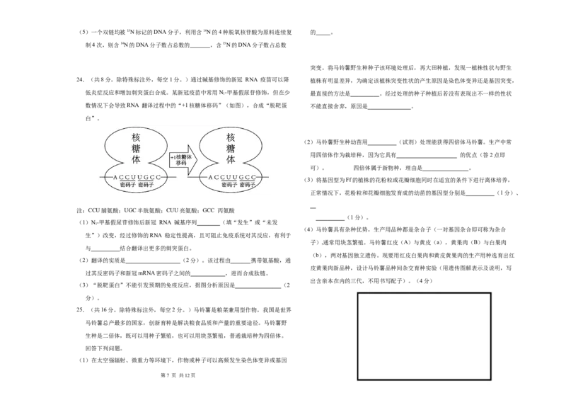 吉林省长春市朝阳区长春外国语学校2024-2025学年高二上学期开学生物试题_2024-2025高二（7-7月题库）_2024年08月试卷_0831吉林省长春外国语学校2024-2025学年高二上学期开学考试