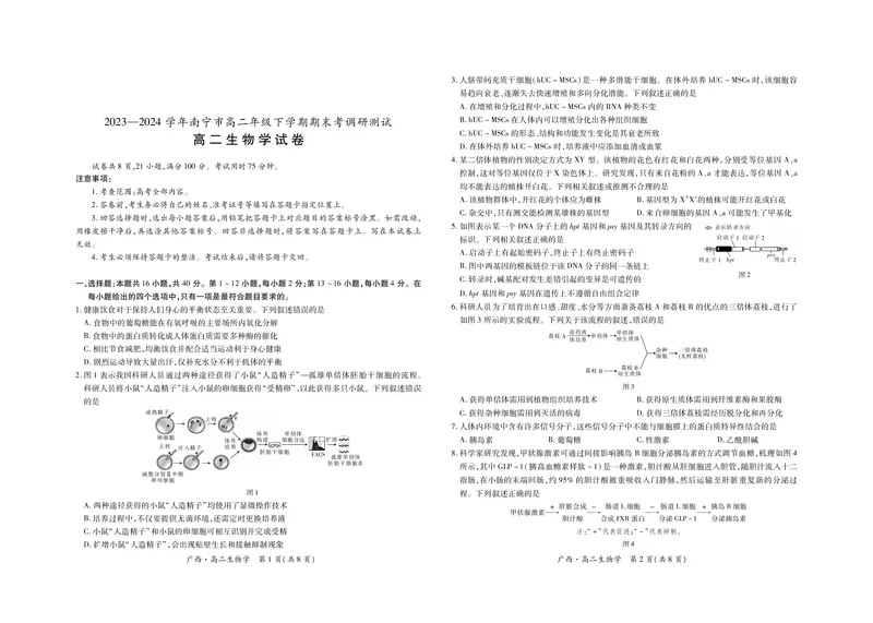 广西7月高二联考&middot;生物_2024-2025高二（7-7月题库）_2024年07月试卷_0721上进联考&middot;2023-2024学年广西南宁市高二年级下学期期末考试调研测试