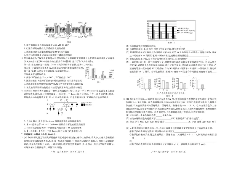 广西7月高二联考&middot;生物_2024-2025高二（7-7月题库）_2024年07月试卷_0721上进联考&middot;2023-2024学年广西南宁市高二年级下学期期末考试调研测试