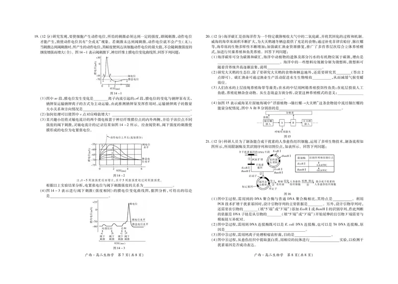 广西7月高二联考&middot;生物_2024-2025高二（7-7月题库）_2024年07月试卷_0721上进联考&middot;2023-2024学年广西南宁市高二年级下学期期末考试调研测试