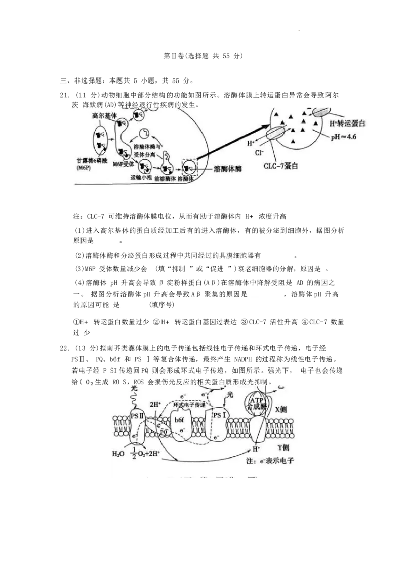 山东省滨州市2023-2024学年高二下学期7月期末教学质量检测生物试题卷_2024-2025高三（6-6月题库）_2024年07月试卷_240710山东省滨州市2023-2024学年高二下学期7月期末教学质量检测