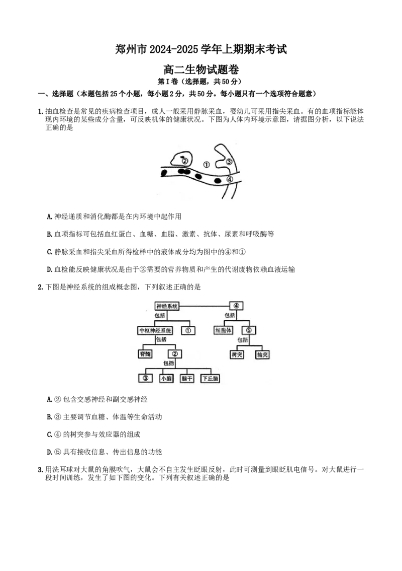 河南省郑州市2024-2025学年高二上学期期末考试生物Word版含答案_2024-2025高二（7-7月题库）_2025年01月试卷_0123河南省郑州市2024-2025学年高二上学期期末考试
