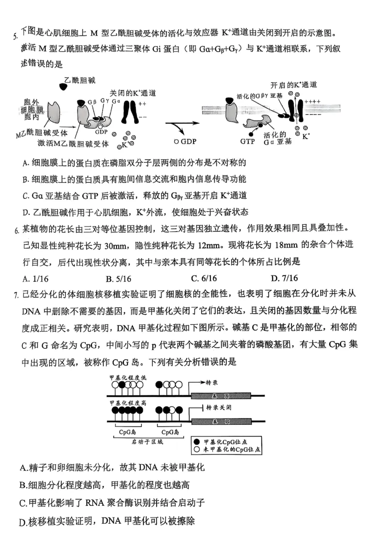 四川省绵阳市高中2022级第三次诊断性考试生物_2024-2026高三（6-6月题库）_2025年04月试卷_0422四川省绵阳市高中2022级第三次诊断性考试（A卷+元三维大联考B卷）（全科）