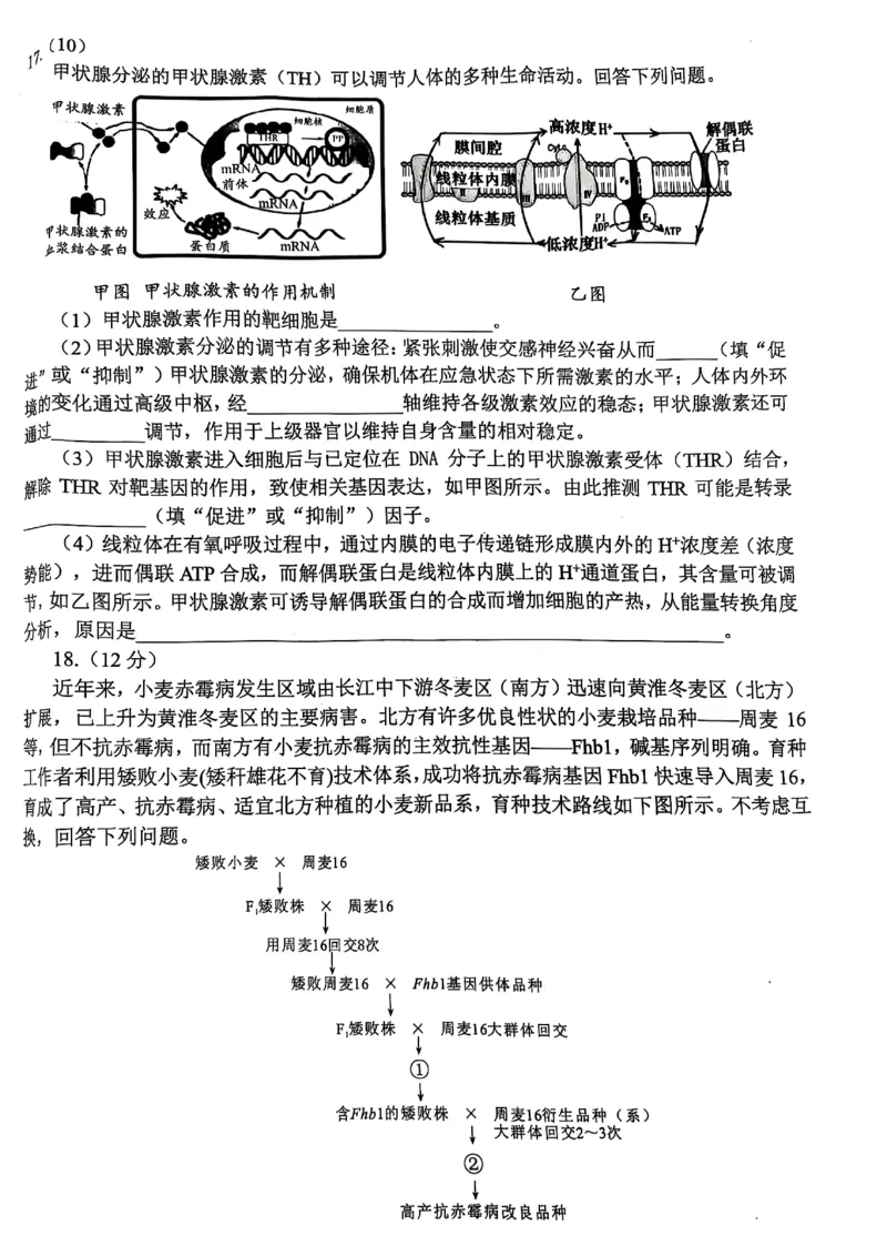 四川省绵阳市高中2022级第三次诊断性考试生物_2024-2026高三（6-6月题库）_2025年04月试卷_0422四川省绵阳市高中2022级第三次诊断性考试（A卷+元三维大联考B卷）（全科）