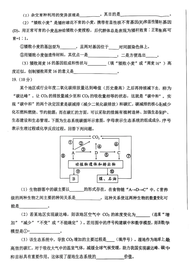 四川省绵阳市高中2022级第三次诊断性考试生物_2024-2026高三（6-6月题库）_2025年04月试卷_0422四川省绵阳市高中2022级第三次诊断性考试（A卷+元三维大联考B卷）（全科）