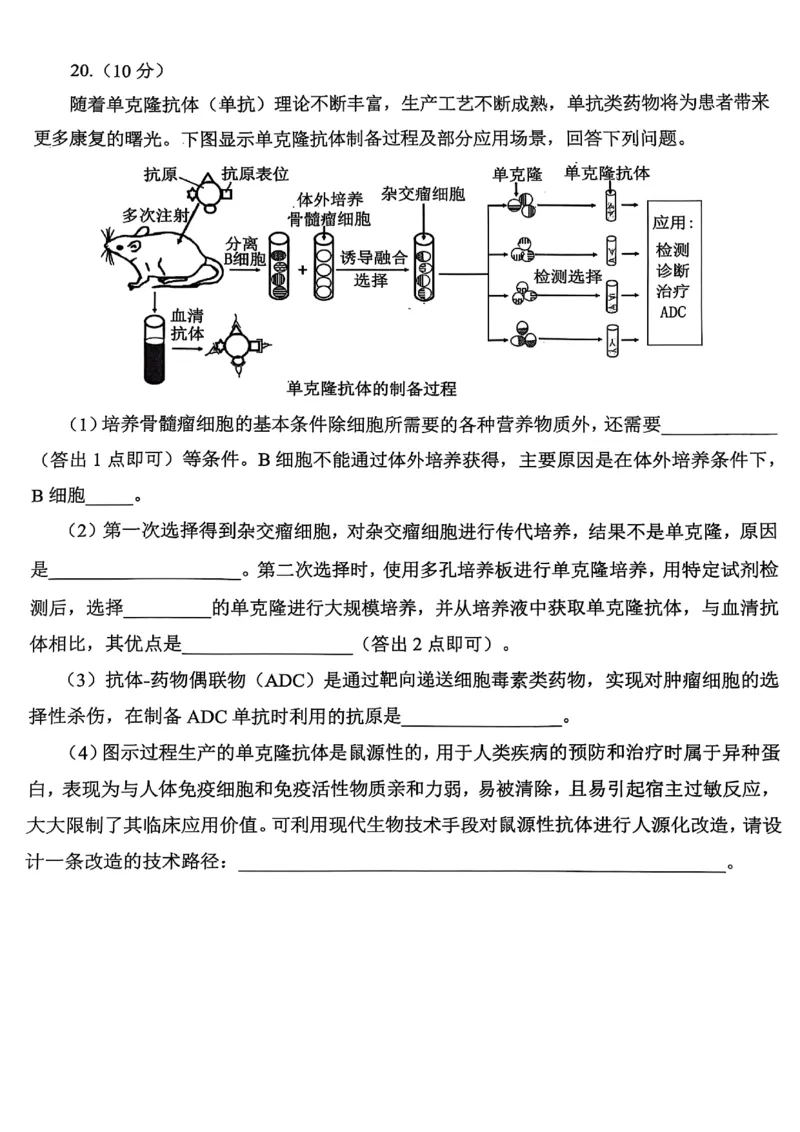四川省绵阳市高中2022级第三次诊断性考试生物_2024-2026高三（6-6月题库）_2025年04月试卷_0422四川省绵阳市高中2022级第三次诊断性考试（A卷+元三维大联考B卷）（全科）
