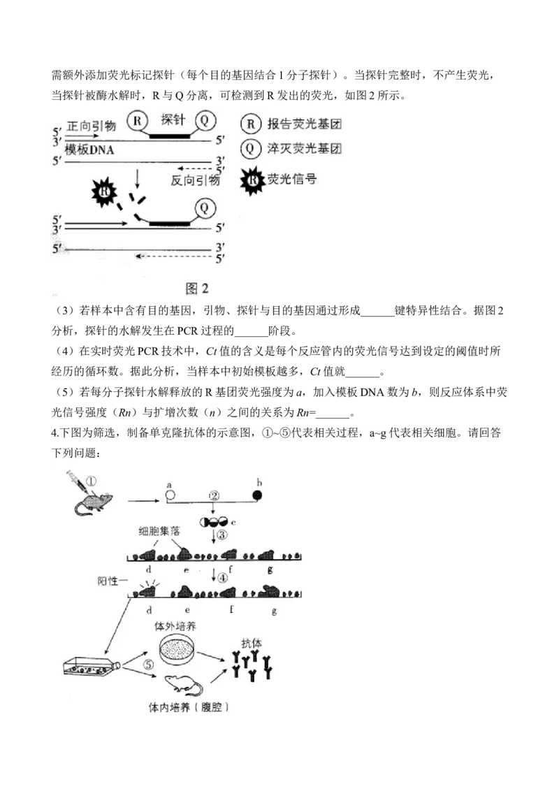 专题12生物技术与工程（非选择题）&mdash;&mdash;高考生物学模块分练新高考版（含解析）_2024-2025高三（6-6月题库）_2026年1月高三