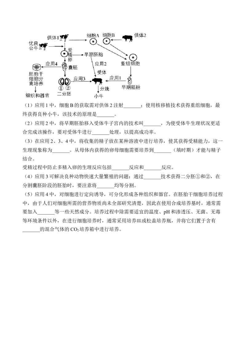 专题12生物技术与工程（非选择题）&mdash;&mdash;高考生物学模块分练新高考版（含解析）_2024-2025高三（6-6月题库）_2026年1月高三